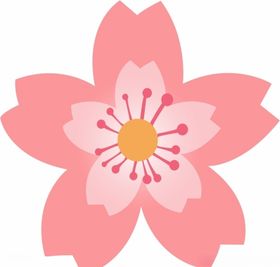 樱花