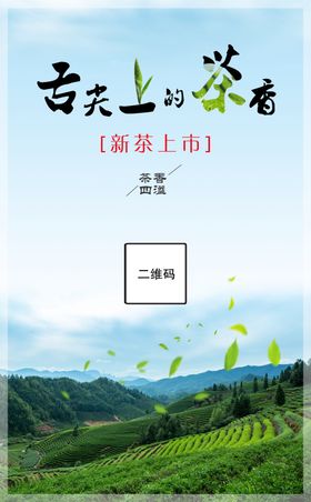 春茶