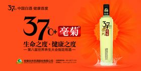 白酒亳菊