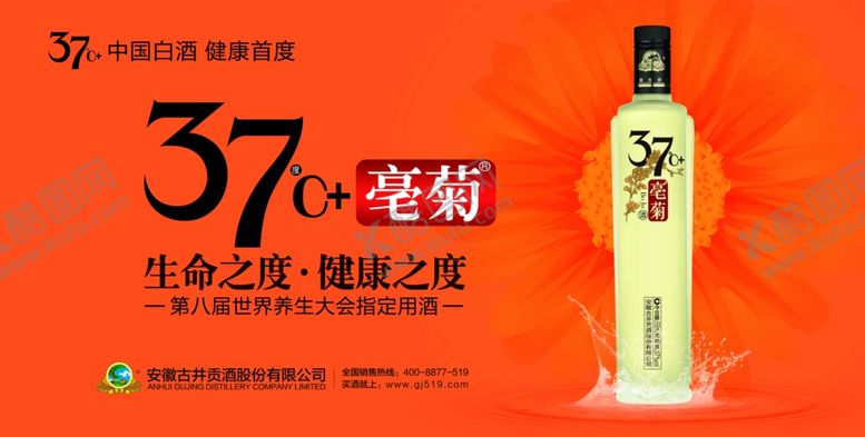 编号：73255707080532122992【酷图网】源文件下载-白酒亳菊