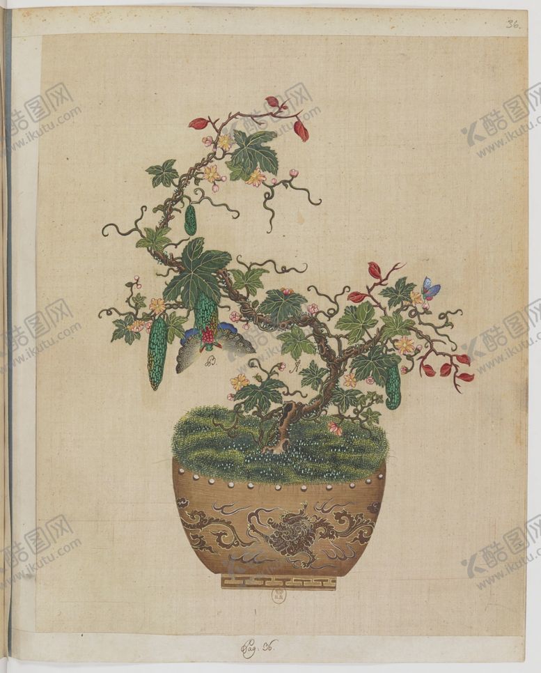 编号：33378004172228454682【酷图网】源文件下载-盆景花鸟