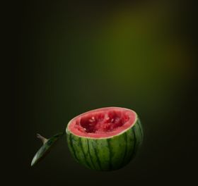 影楼摄影模板