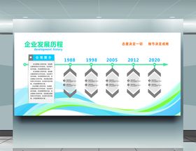 企业发展历程