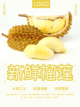 新鲜榴莲海报