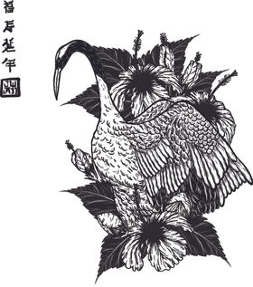 纯色绘画植物花朵