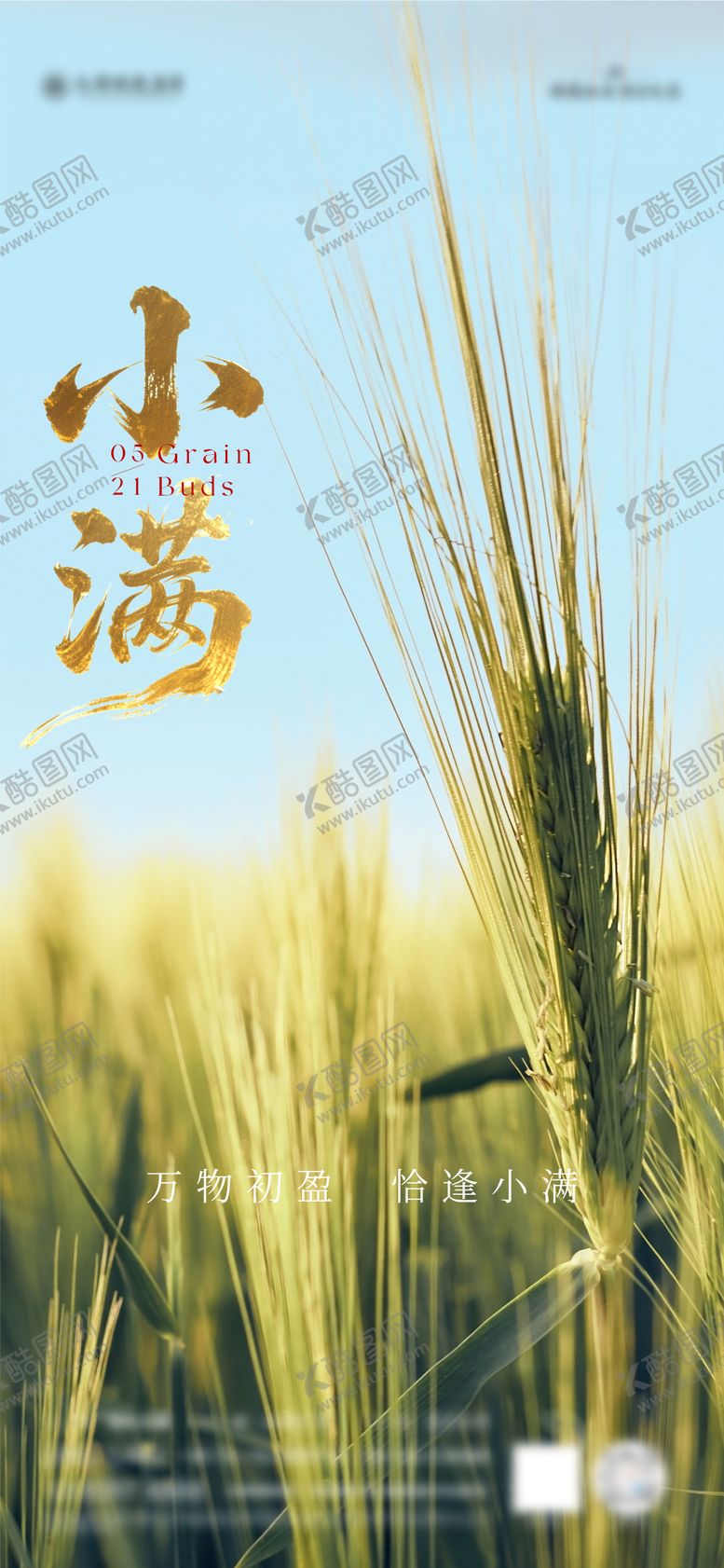 编号：18171305172319355951【酷图网】源文件下载-小满节气海报