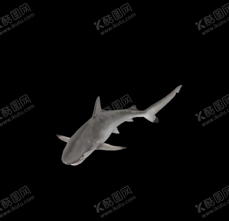 编号：74800506280624073277【酷图网】源文件下载-海洋生物