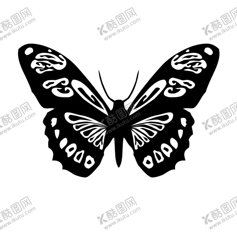 编号：93474406261228549171【酷图网】源文件下载-蝴蝶素材