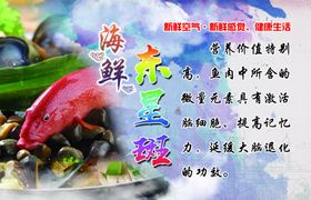 海鲜宣传东星斑