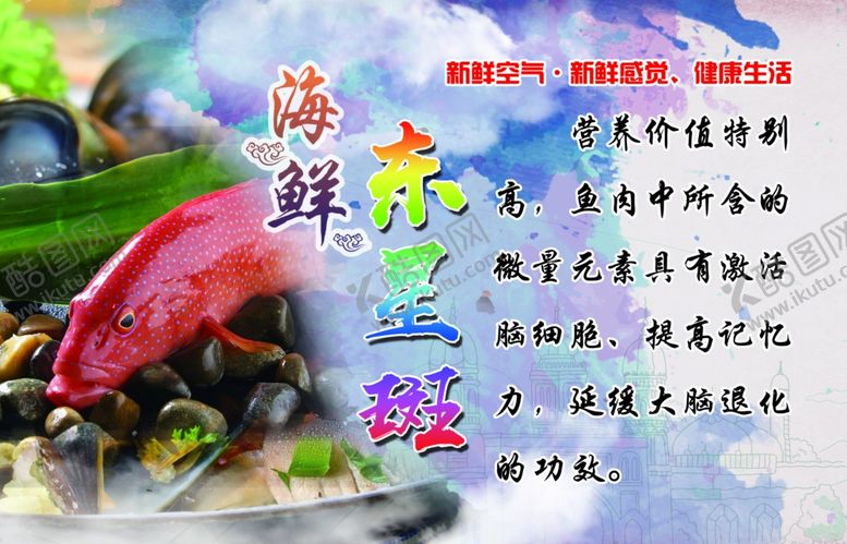 编号：51443509112157276840【酷图网】源文件下载-海鲜宣传东星斑