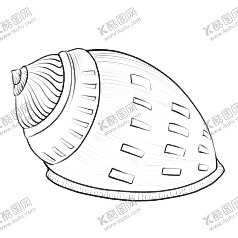 编号：74030012011316351234【酷图网】源文件下载-手绘海螺