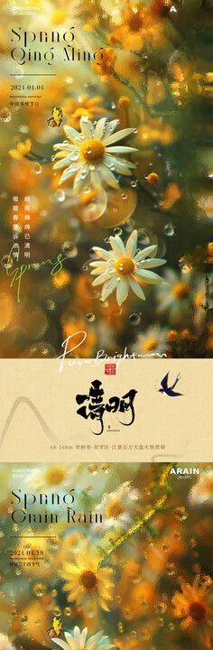 清明谷雨菊花玻璃海报