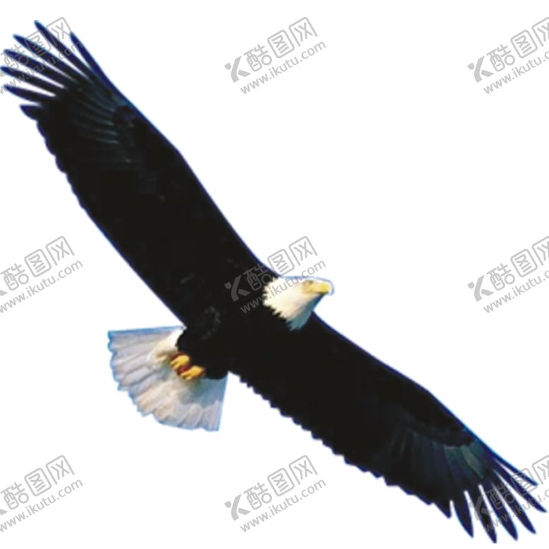 编号：10010409140325198615【酷图网】源文件下载-大展宏图