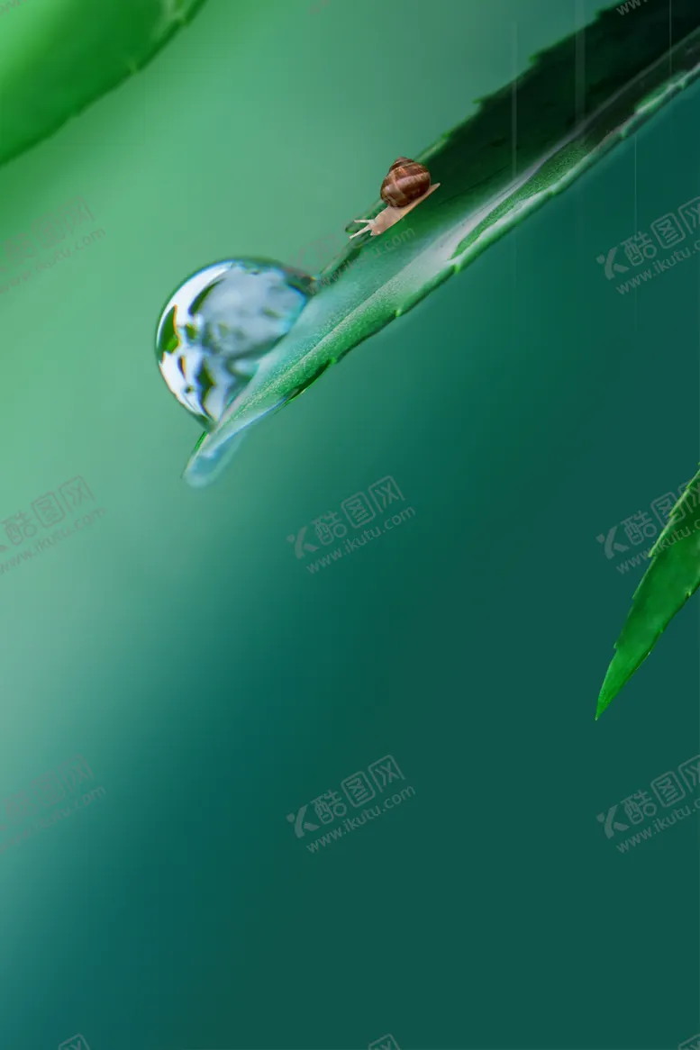 编号：12708601260647478899【酷图网】源文件下载-绿色大气水滴背景