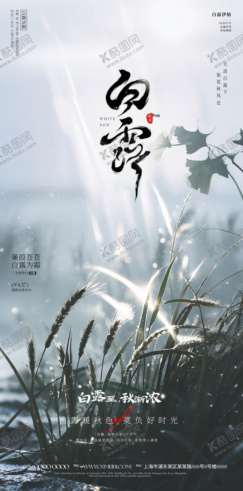 编号：72375810252305012369【酷图网】源文件下载-白露海报