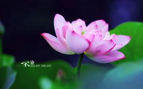 风景图片