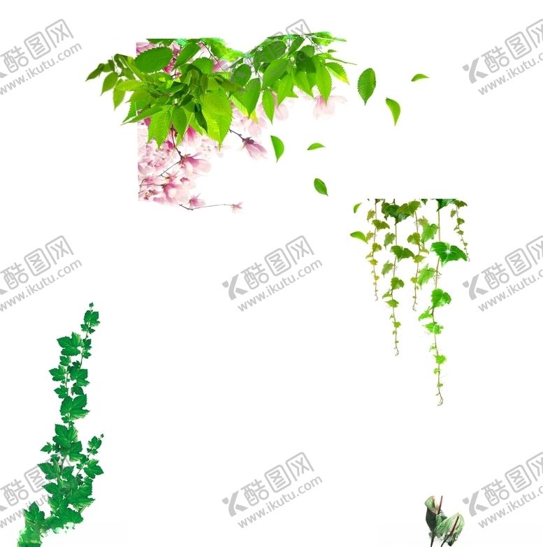 编号：18618305142125158407【酷图网】源文件下载-边角绿叶