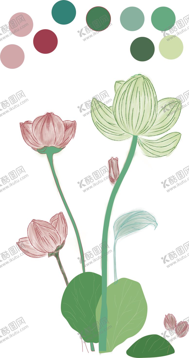 编号：70115502150944246665【酷图网】源文件下载-荷花TIF分层