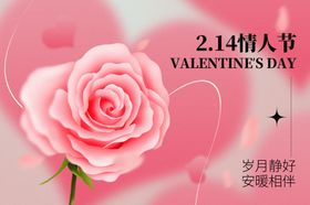 情人节粉色浪漫玫瑰花