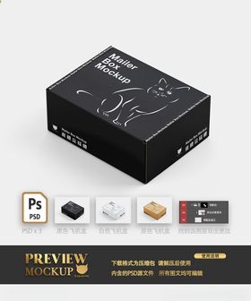 手绘猫飞机盒收纳盒侧视角样机