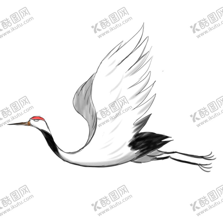 编号：44540904231505499695【酷图网】源文件下载-仙鹤元素
