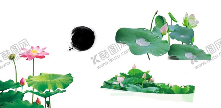 编号：56593605092144183889【酷图网】源文件下载-中国风荷花