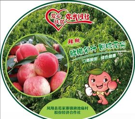 桃子标签