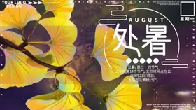 处暑农历节气秋分24节气海报清明