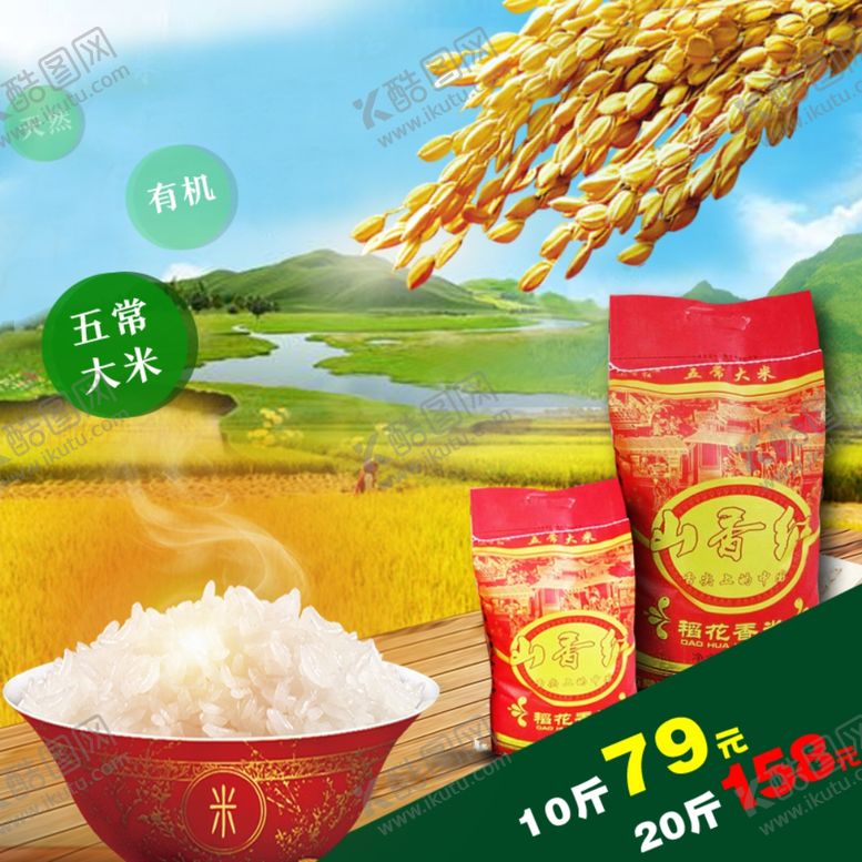 编号：66337209271217184321【酷图网】源文件下载-大米