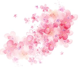 创意花