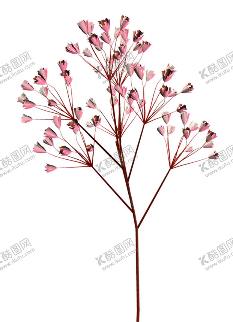 编号：20250605100929446317【酷图网】源文件下载-鲜花素材