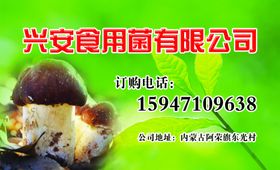 食用菌名片