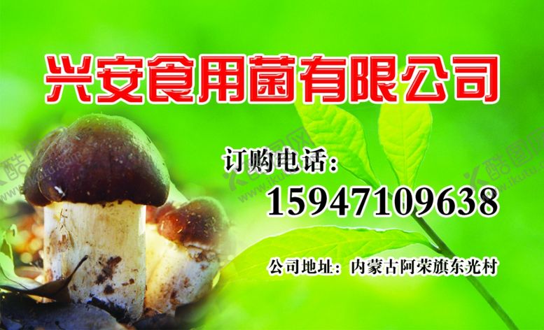 编号：21372010201219581853【酷图网】源文件下载-食用菌名片
