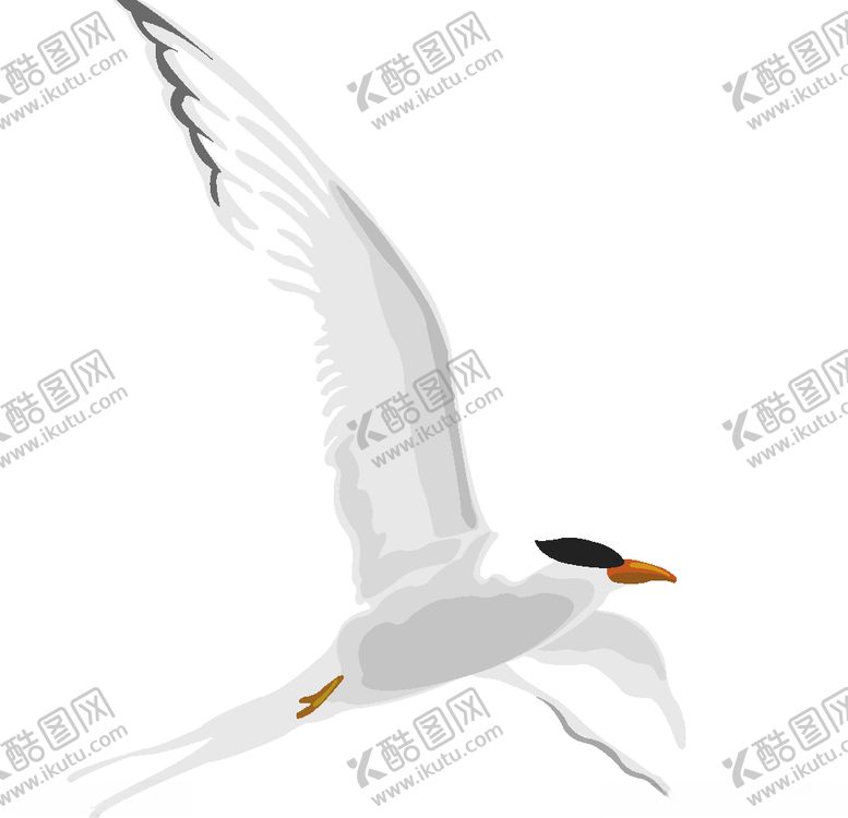 编号：17443707081232191767【酷图网】源文件下载-矢量鸟元素