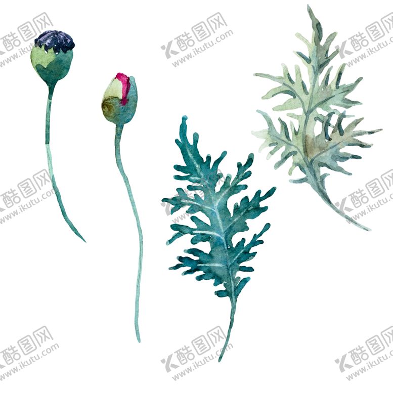 编号：33732707130930426107【酷图网】源文件下载-手绘植物
