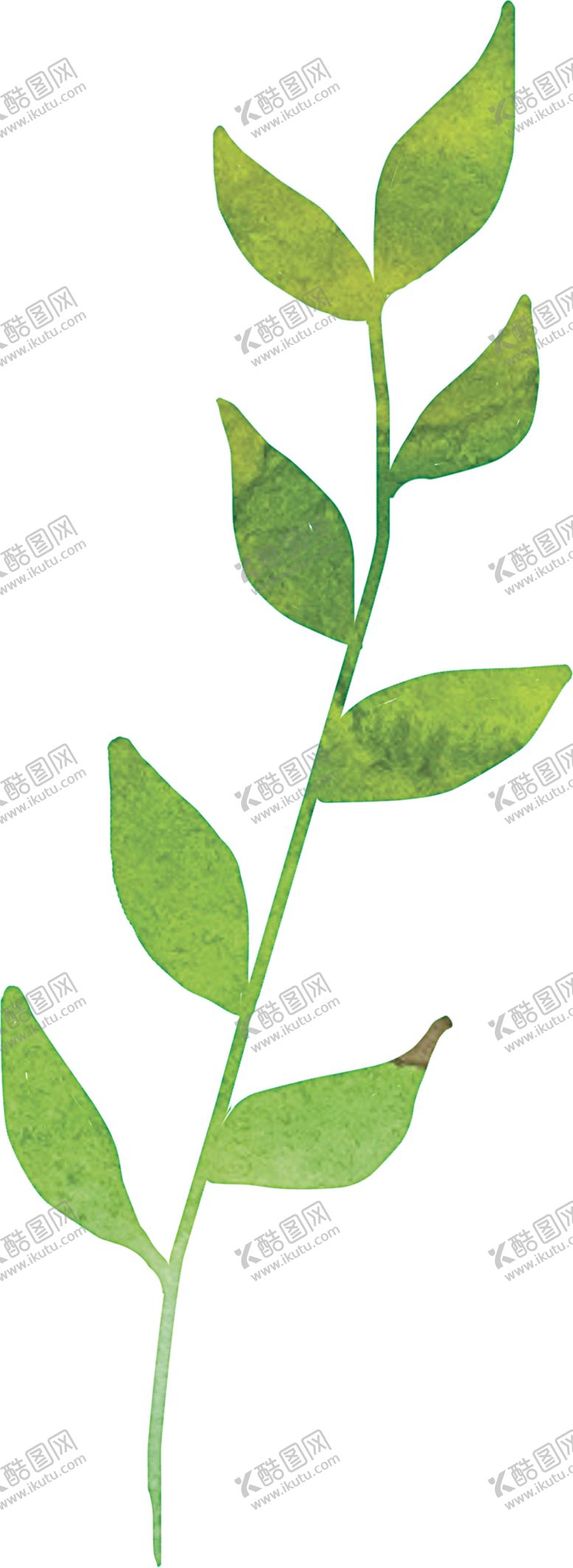 编号：57859406171630537273【酷图网】源文件下载-绿色树叶