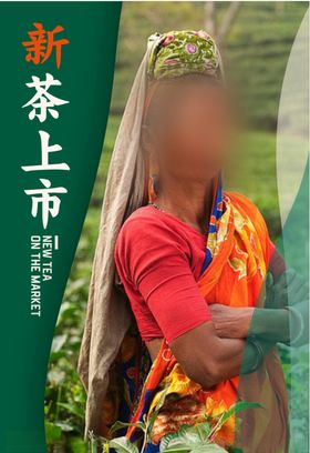 新茶上市
