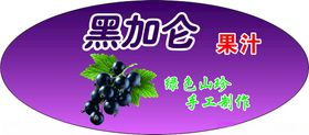 黑加仑果汁包装设计展示