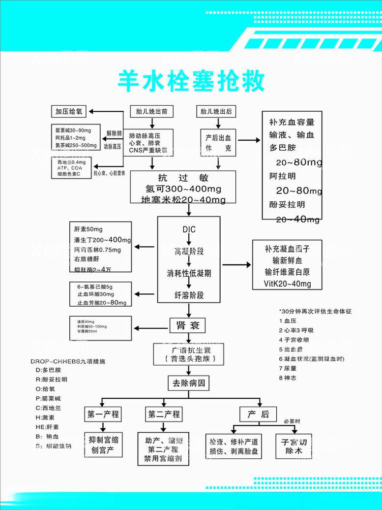 编号：36101901182003452200【酷图网】源文件下载-羊水栓塞抢救