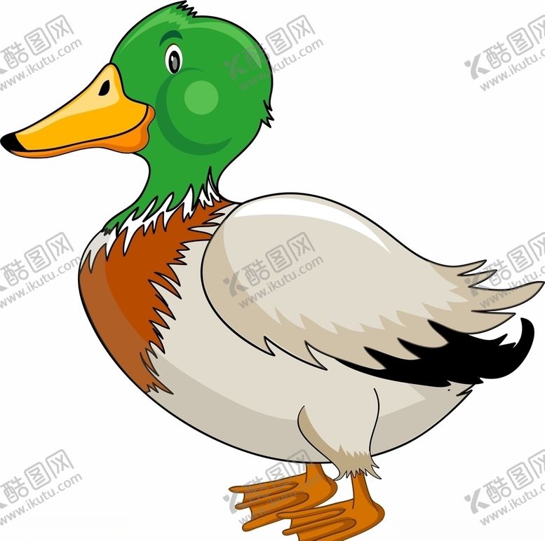 编号：38582804200323535592【酷图网】源文件下载-卡通鸭子