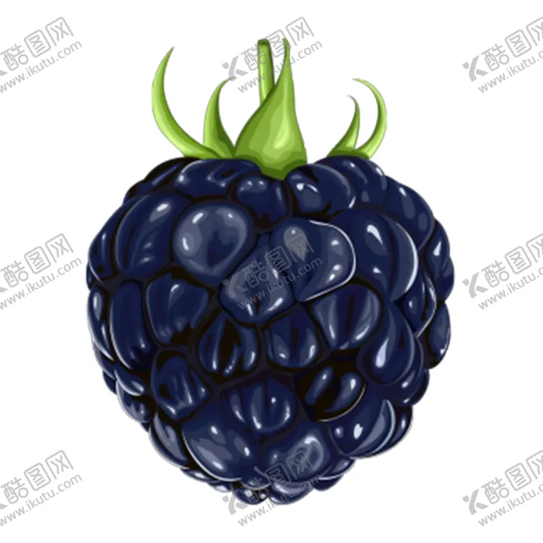 编号：48968703102155447480【酷图网】源文件下载-树莓