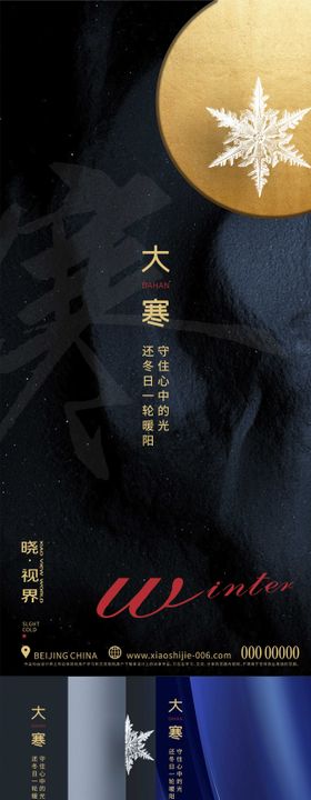 大寒系列海报