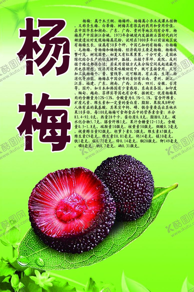 编号：22196609221730061548【酷图网】源文件下载-水果文化系列之杨梅