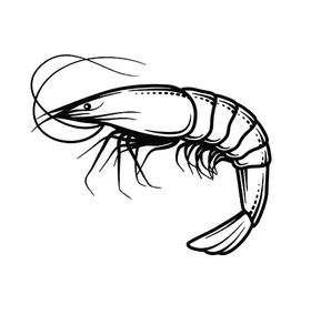 食材简笔素材