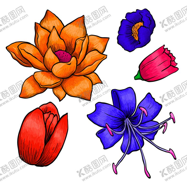 编号：41088007081806227604【酷图网】源文件下载-花素材