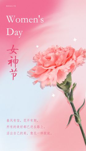 女神节妇粉色渐变康乃馨
