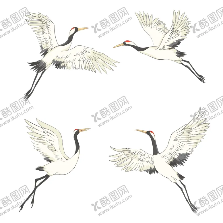 编号：45644512011323369114【酷图网】源文件下载-仙鹤