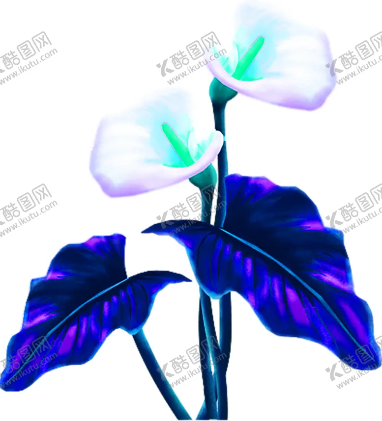 编号：93384106240329446259【酷图网】源文件下载-花素材