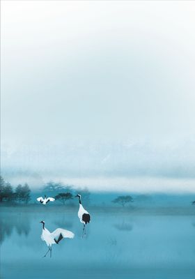 仙鹤在水中