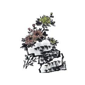 菊花素材